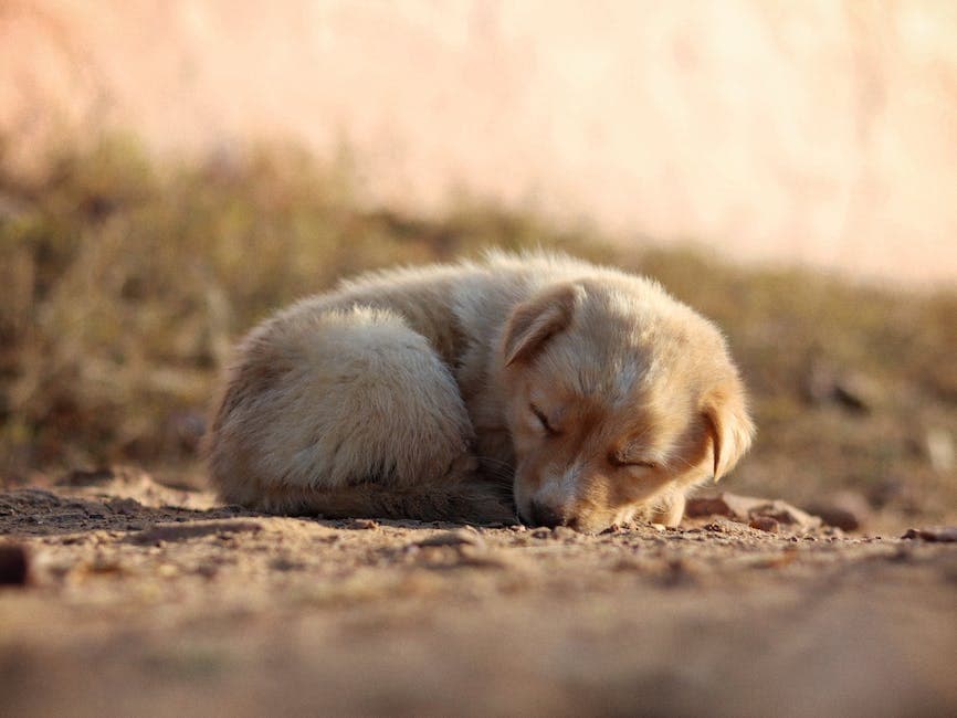 bebé durmiendo en la cuna
