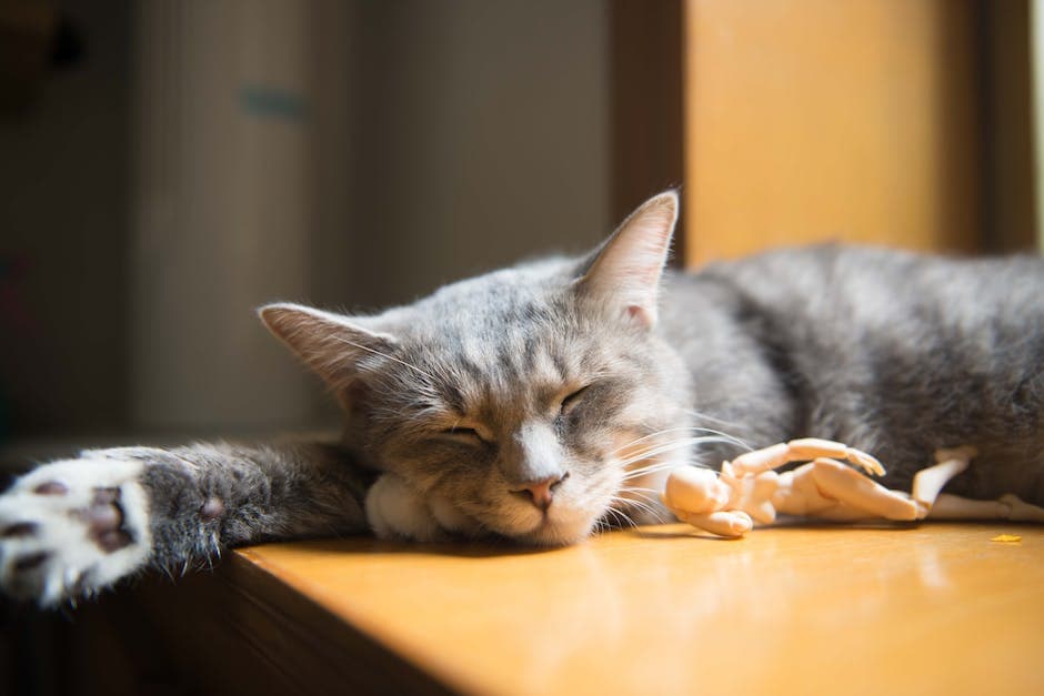 bebé durmiendo en cuna con peluche al lado