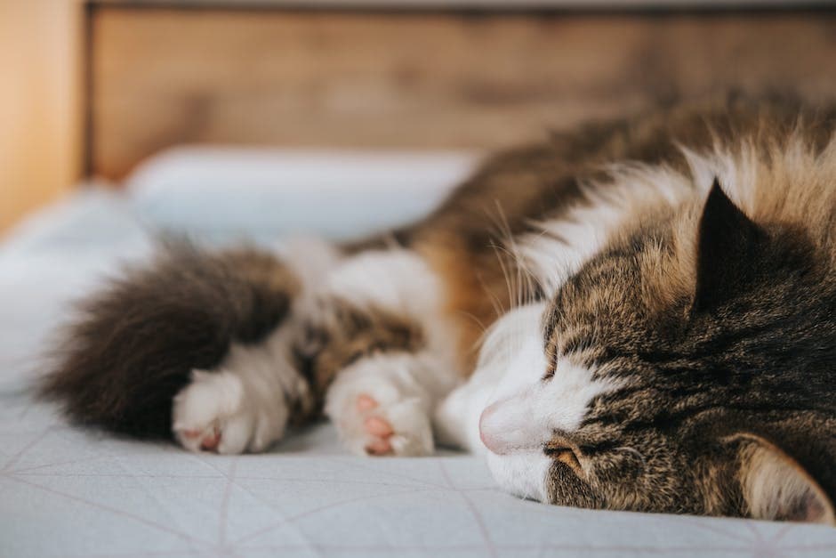 Bebé durmiendo en un dormitorio con luz tenue y una manta y un peluche suaves
