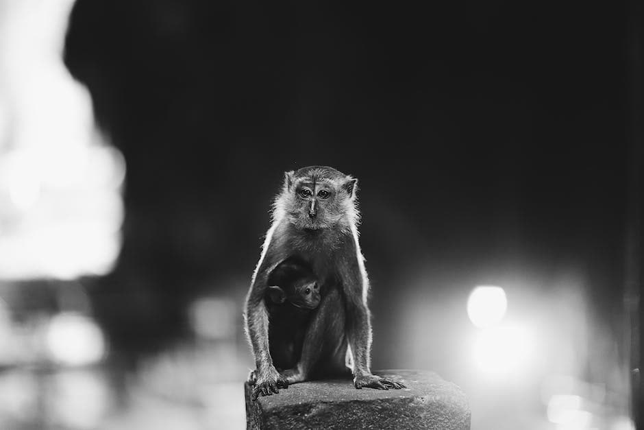 bebé durmiendo en cuna rodeado de peluches y luz nocturna