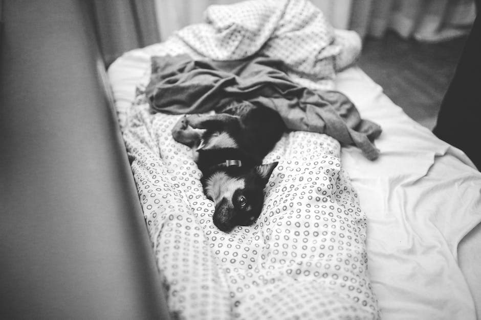 Bebé durmiendo boca abajo con almohada y manta cercanas
